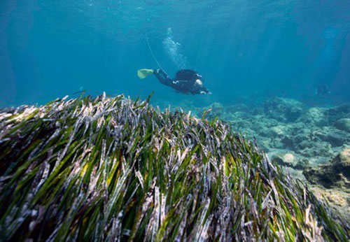 Akrotiri-Dreamer’s Bay underwater survey confirms shipwreck (Inglese)